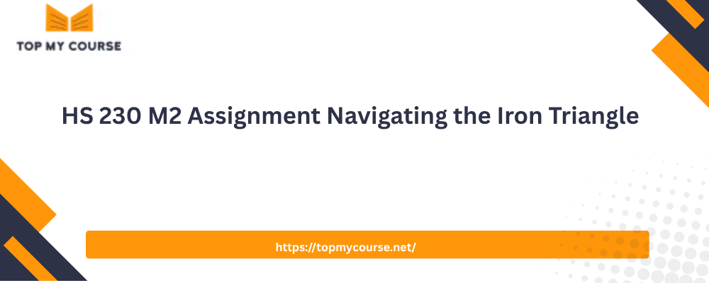 HS 230 M2 Assignment Navigating the Iron Triangle